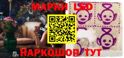 дмт Аргун