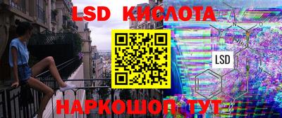 дмт Аргун