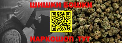 дмт Аргун