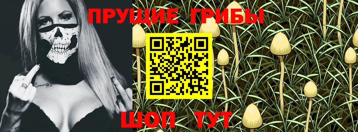 Псилоцибиновые грибы Magic Shrooms  Вход с VPN  Великий Новгород 
